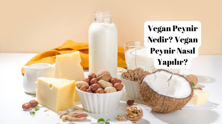 Vegan Peynir Nedir